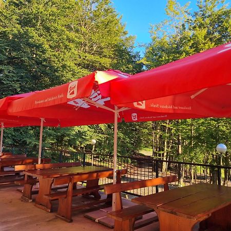 Great Mountain B&B Platak Экстерьер фото