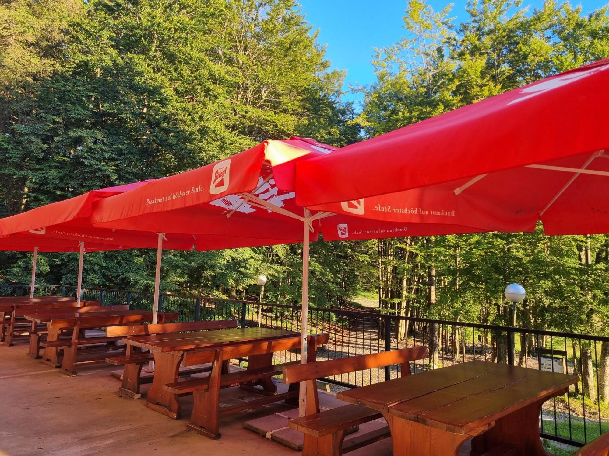 Great Mountain B&B Platak Экстерьер фото
