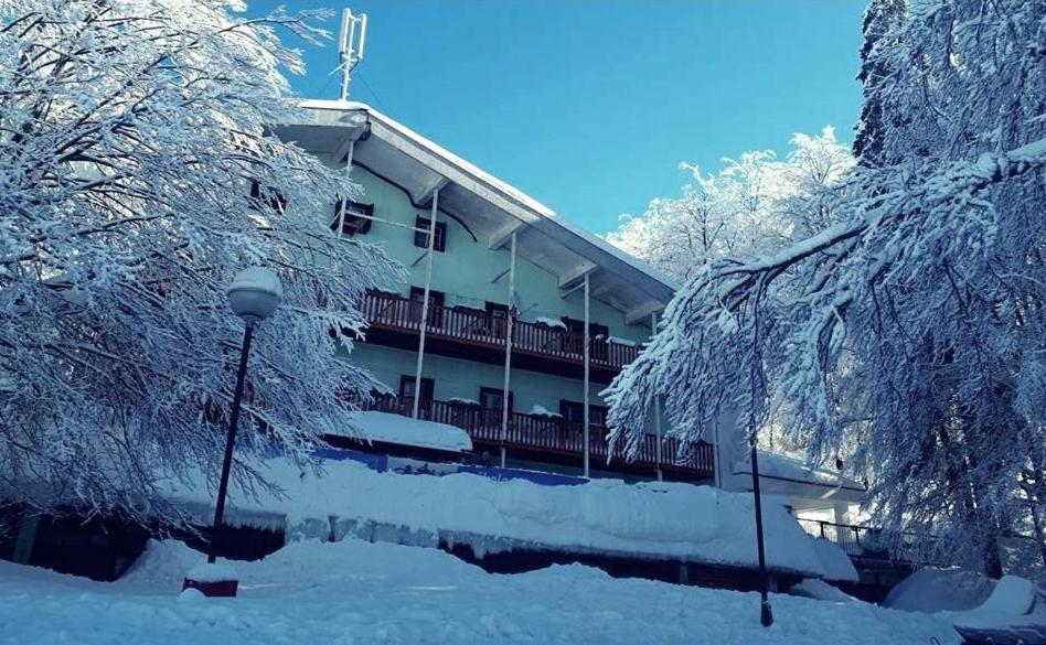 Great Mountain B&B Platak Экстерьер фото